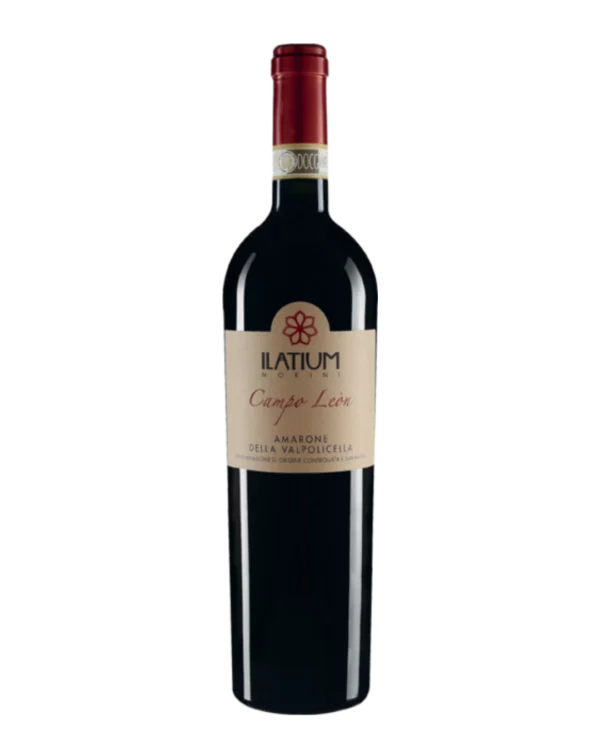 CAMPO LEON AMARONE VALPOLICELLA DOCG Italia in food prodotti tipici italiani