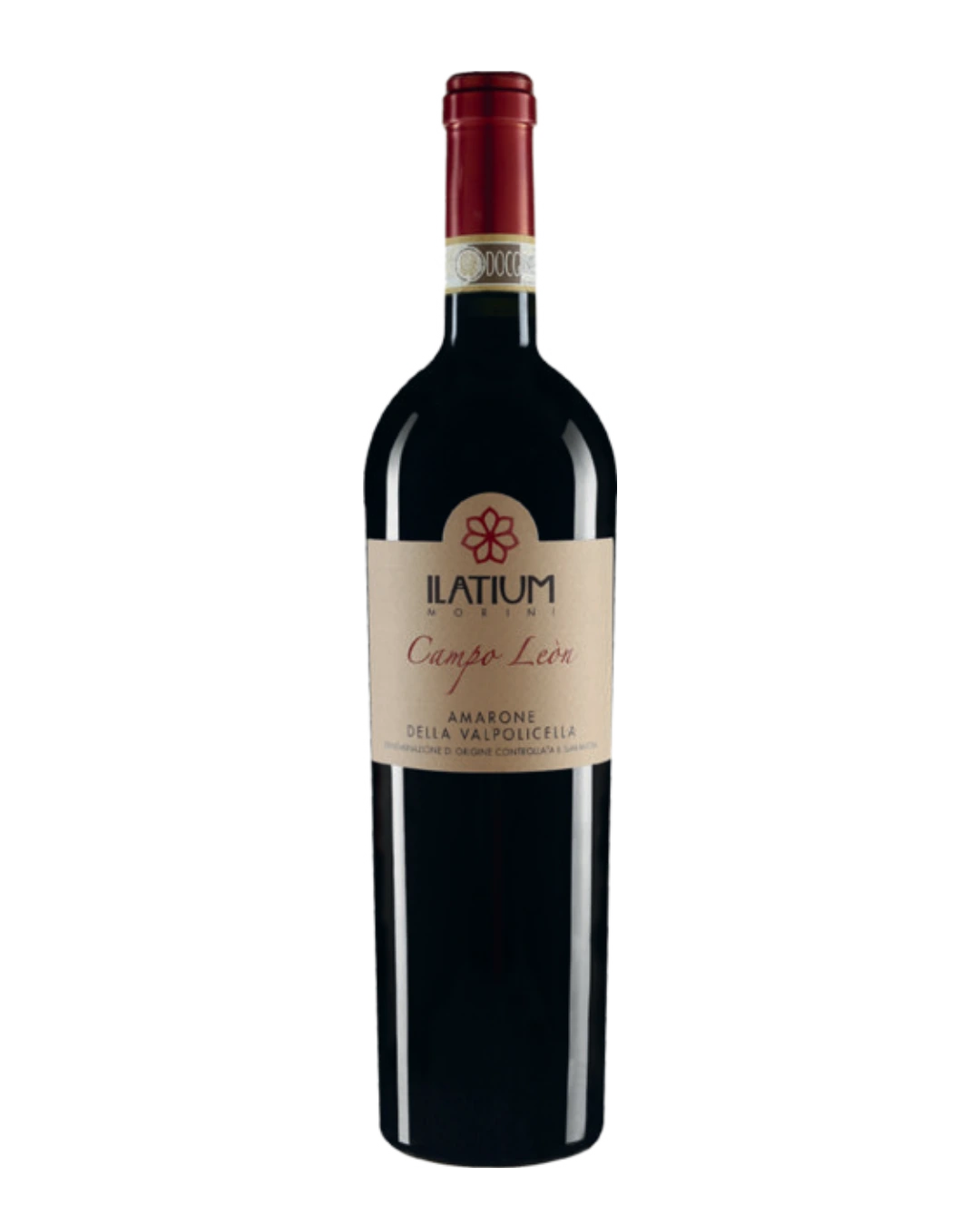 CAMPO LEON AMARONE VALPOLICELLA DOCG Italia in food prodotti tipici italiani