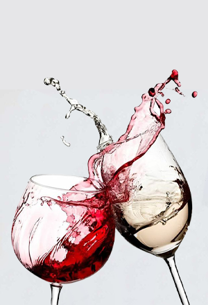 categoria vini Italia in Food prodotti tipici italiani