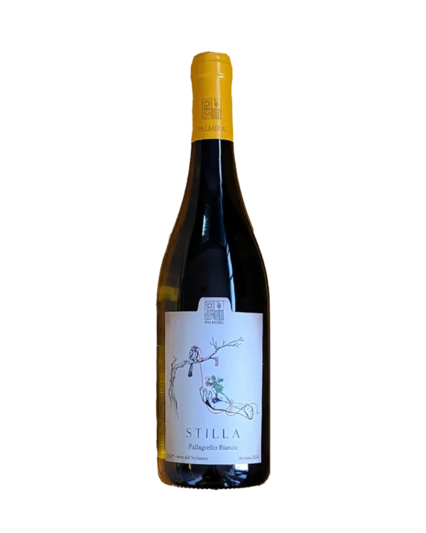 Stilla Pallagrello Bianco IGP Terre del Volturno Palmieri Italia in Food prodotti tipici italiani