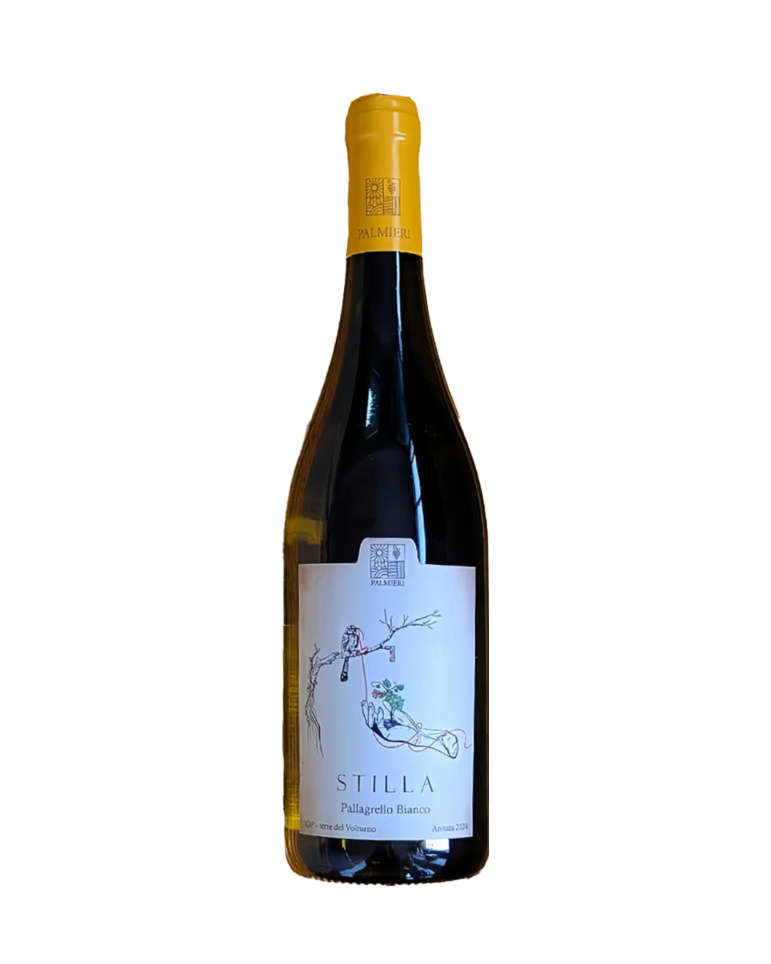 Stilla Pallagrello Bianco IGP Terre del Volturno Palmieri Italia in Food prodotti tipici italiani Stilla Pallagrello Bianco IGP Terre del Volturno Palmieri Italia in Food prodotti tipici italiani