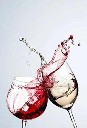 categoria vini Italia in Food prodotti tipici italiani