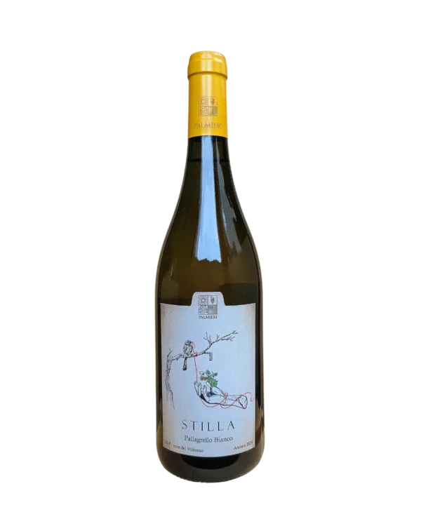 Stilla Pallagrello Bianco IGP Terre del Volturno Palmieri Italia in Food prodotti tipici italiani